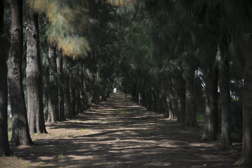 sustentabilidad en polos industriales